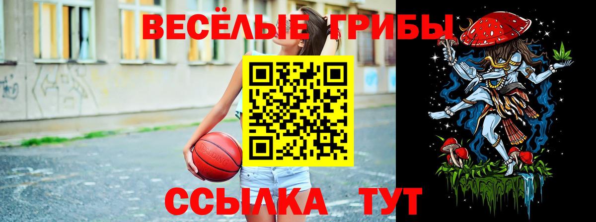 Галлюциногенные грибы Cubensis Кострома